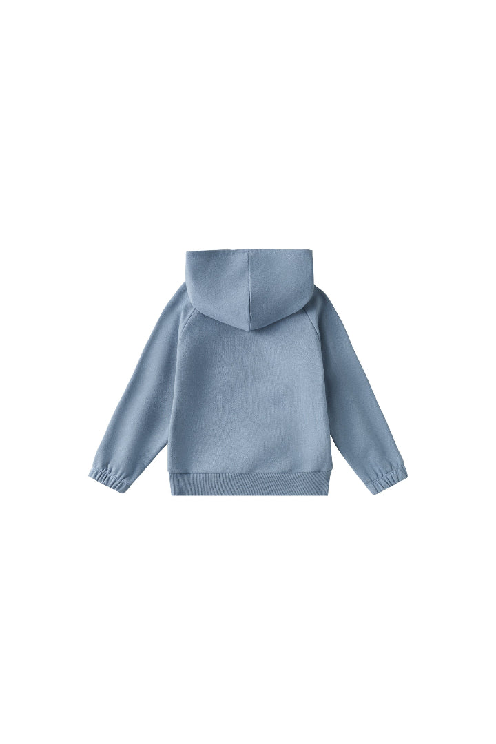 Toddler Organic French Terry Hooded Sweatshirt-Travel duck