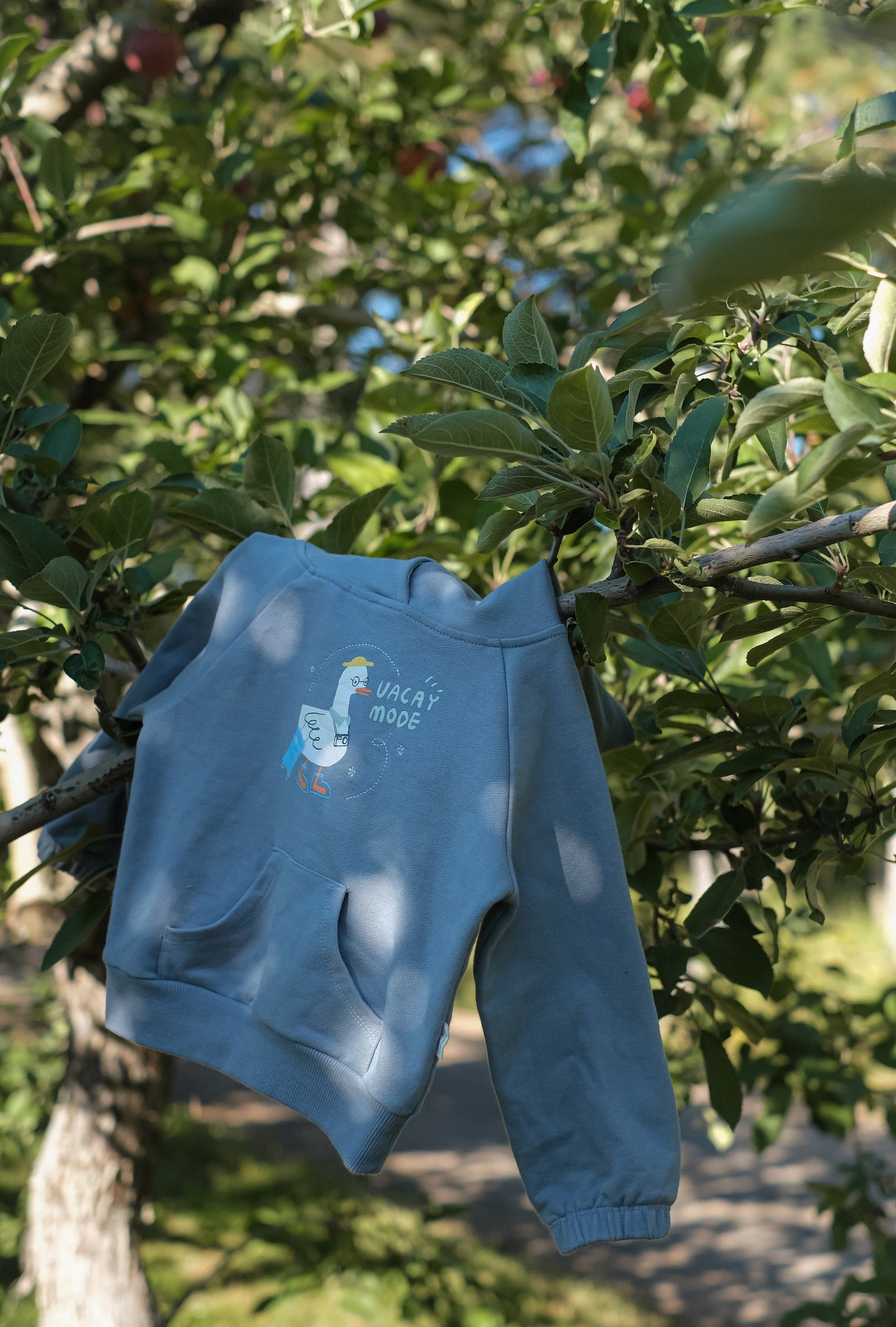 Toddler Organic French Terry Hooded Sweatshirt-Travel duck
